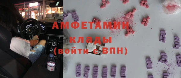 амф Каменка