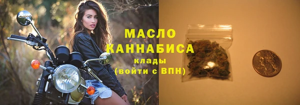 амф Каменка