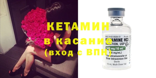 амф Каменка