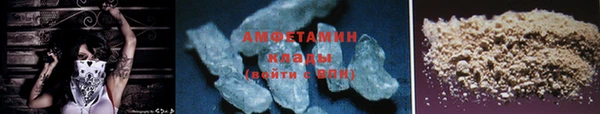 амф Каменка