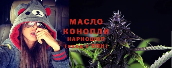 амф Каменка